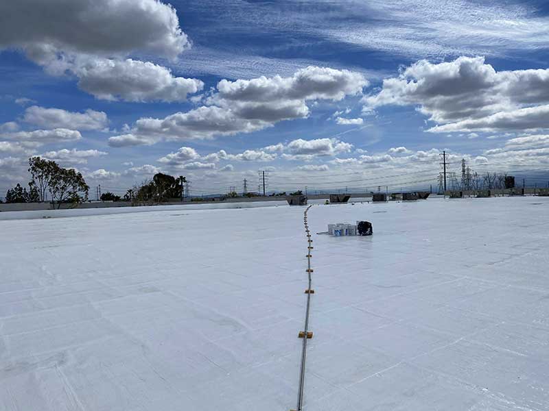 Great Pacific Elbow – Chino — project photo
