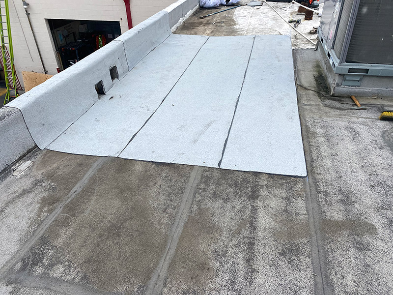 Takara Ramen – Roof Restoration