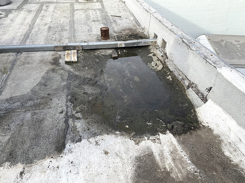 Takara Ramen – Roof Restoration — Before